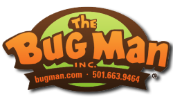THE BUG MAN